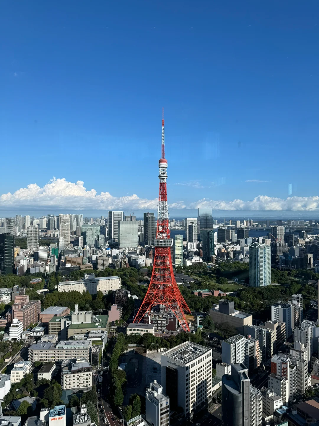🇯🇵 Ultimate Guide to Tokyo Tower Viewing Spots: 34th Floor Café