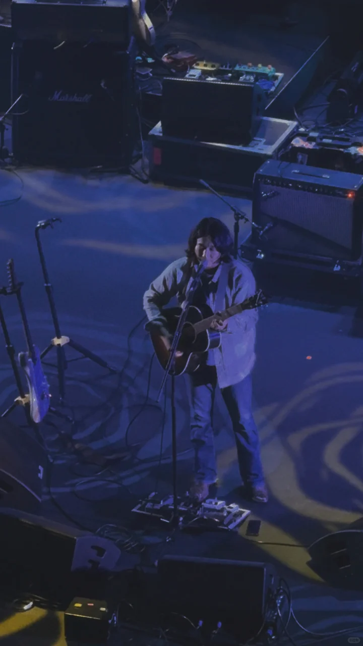 The Forgetful Coal Tit is Here (Dog Face)