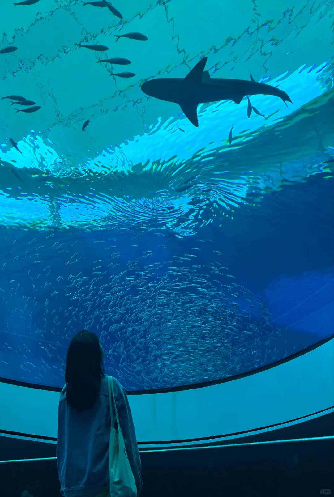 🩵 Miami Tourist Photo Spots 🫨