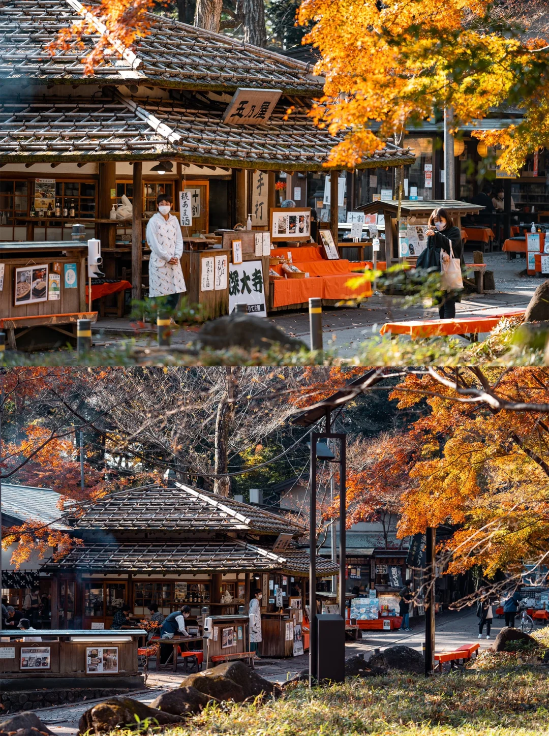 Skip the Crowds at Senso-ji, Head to Mori-dera Instead!