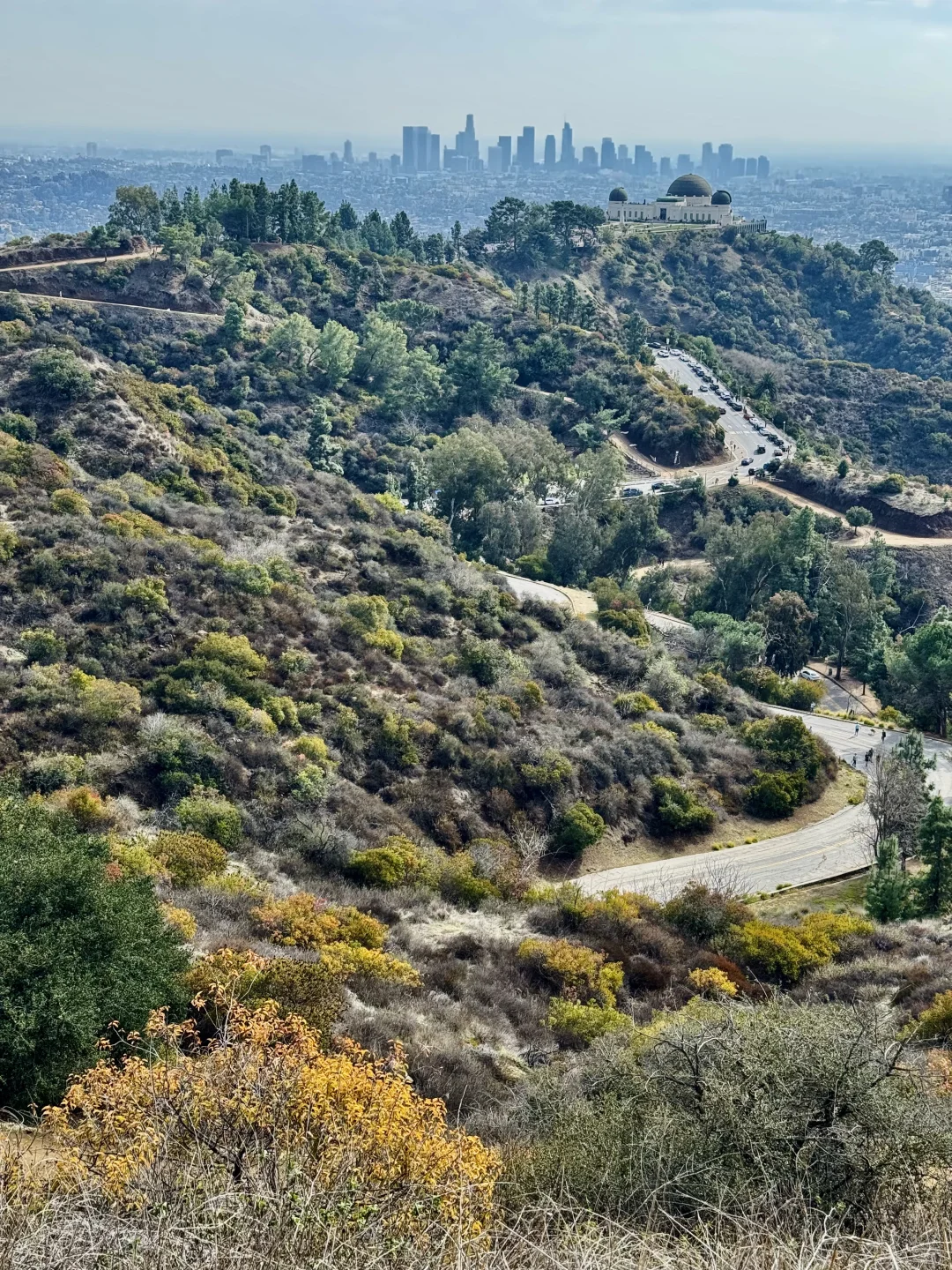 Hollywood Hills West Trail Hike～Hiking in LA