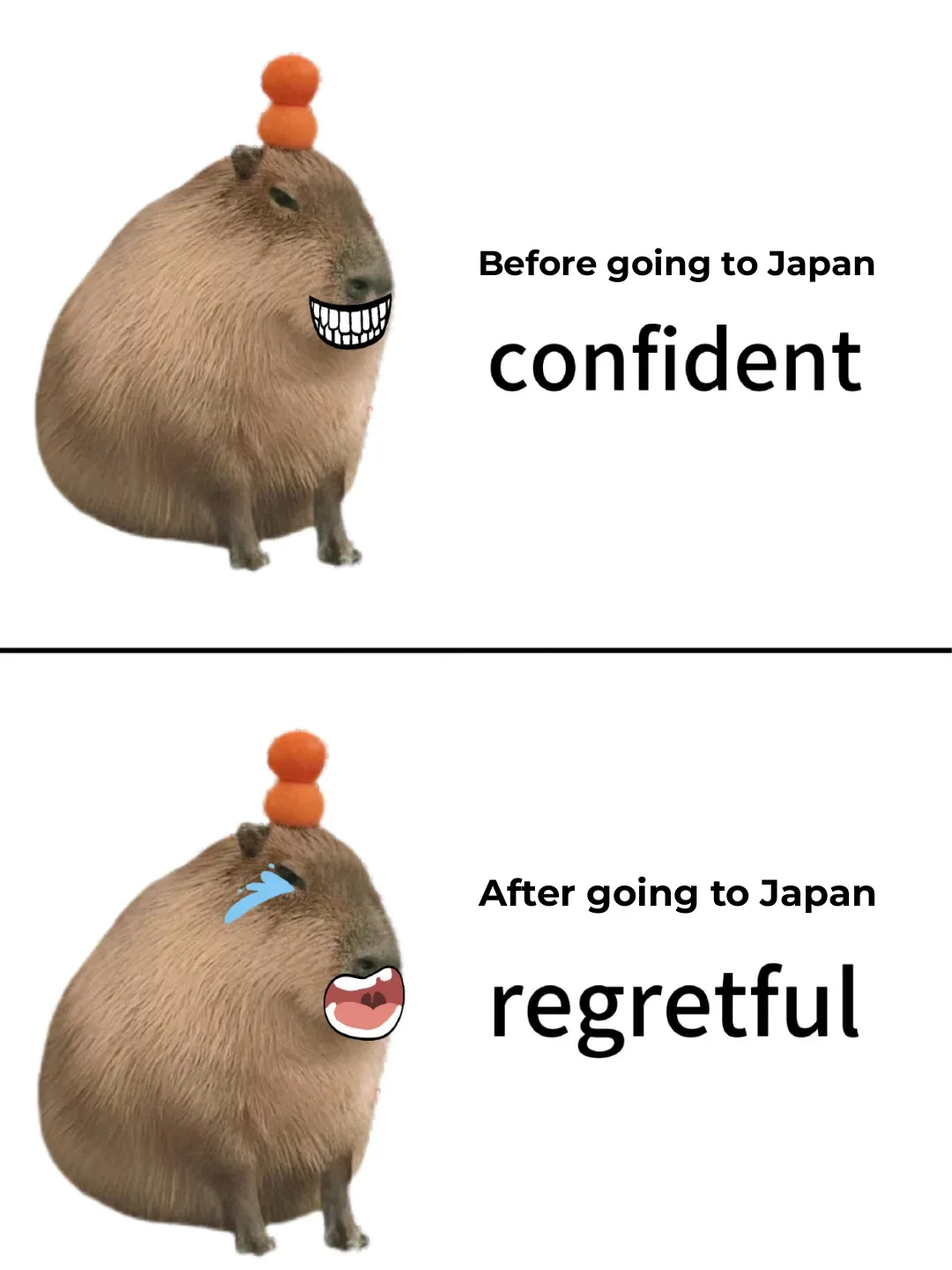 Heartbroken 💔 Why Didn't I Find This Comprehensive Guide Before My Trip to Japan