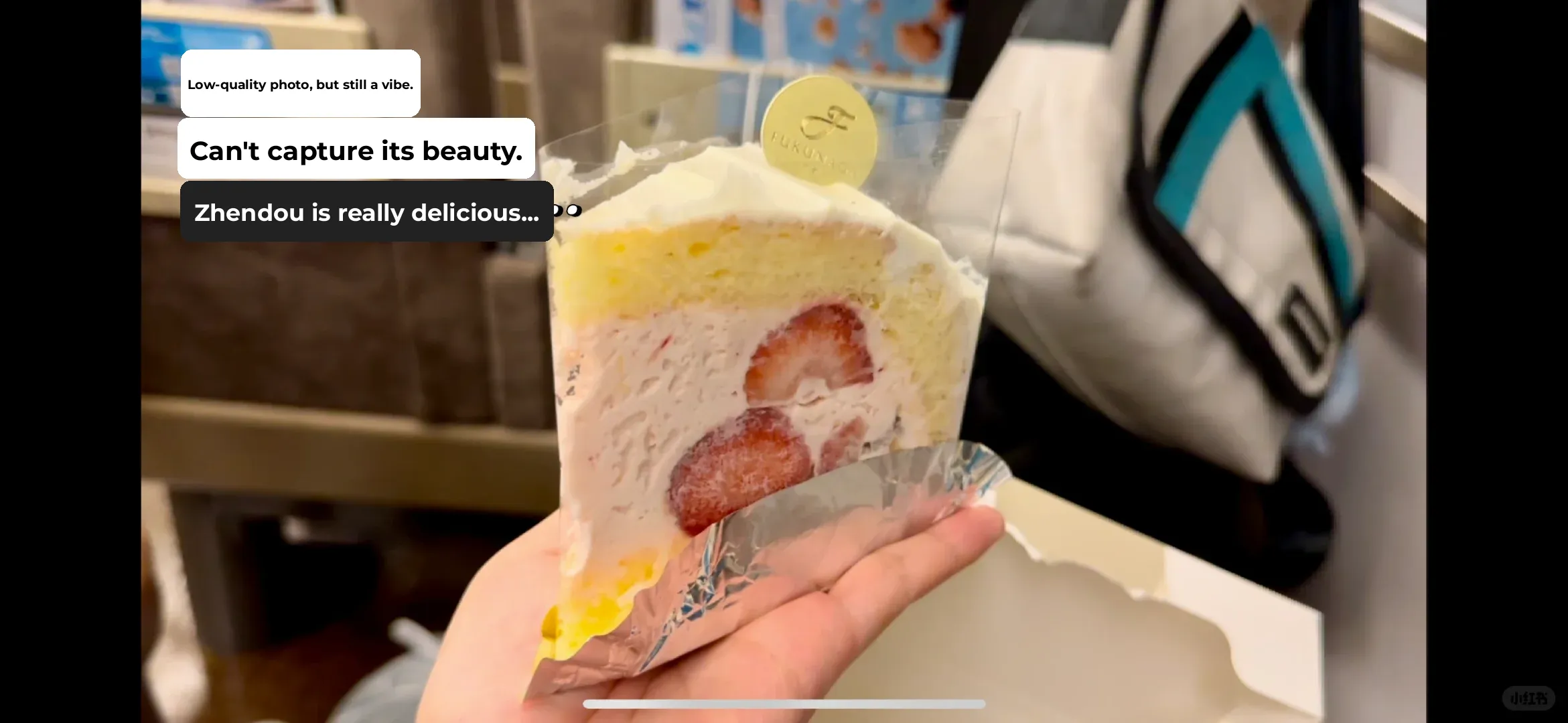 Must-Have Haruka Ride Treat: Kyoto Station's No-Wait Famous Cake!