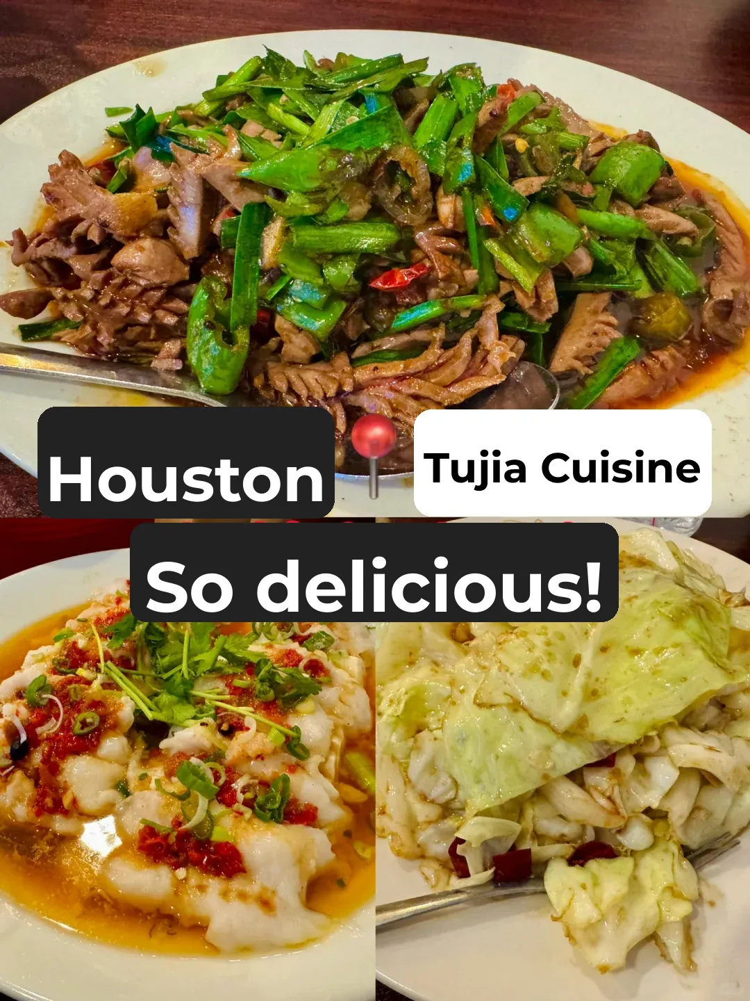 Houston｜Stir-fry So Good It Tastes Like Wok Hei 😭