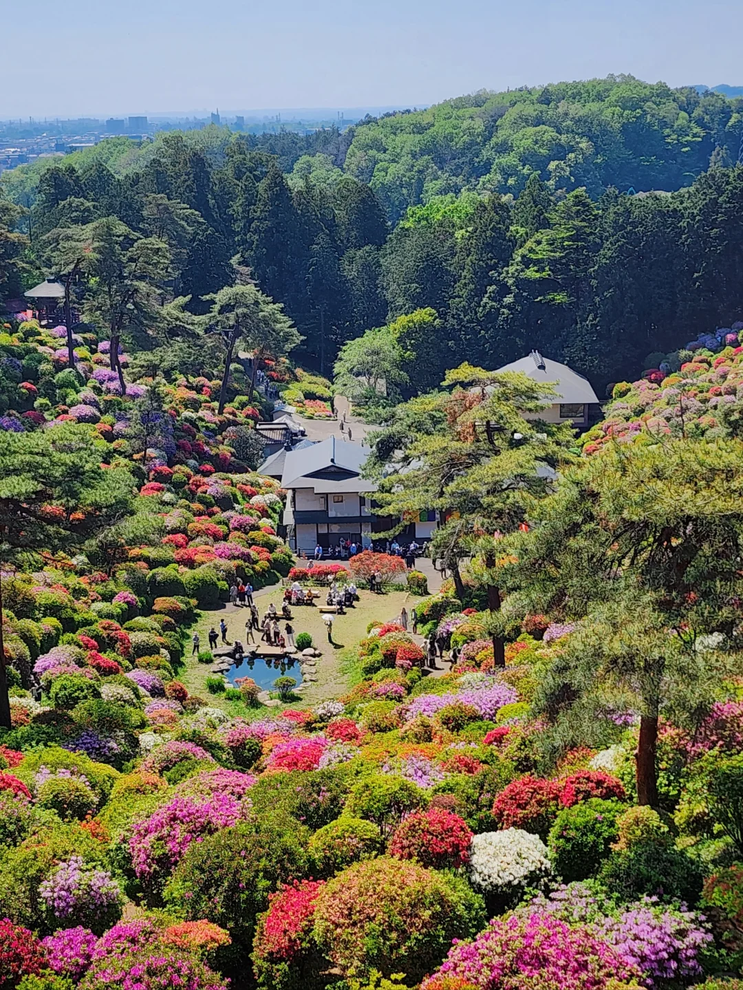 🇯🇵 Tokyo Hidden Gems | Miss It, Wait a Year | Ultimate Guide