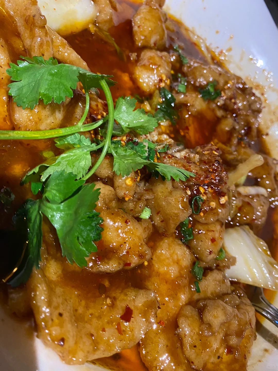 Fort Lauderdale, Florida: A Taste of Chengdu's Sichuan Cuisine