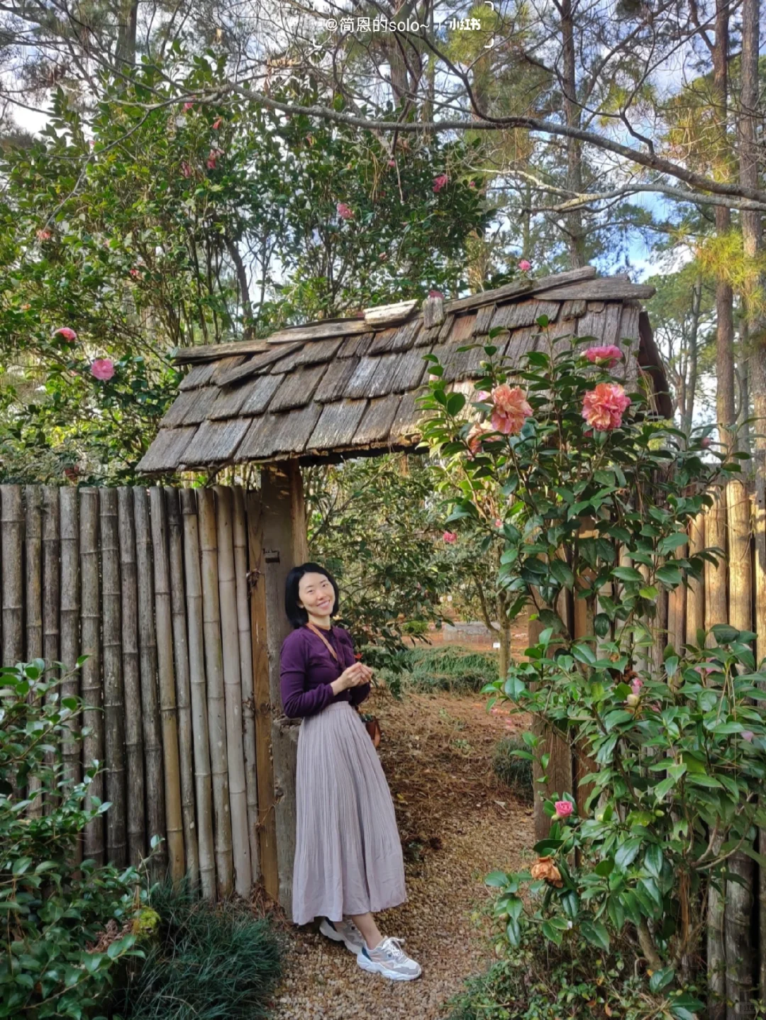 The Largest and Most Beautiful Camellia Garden Near Atlanta 🌸