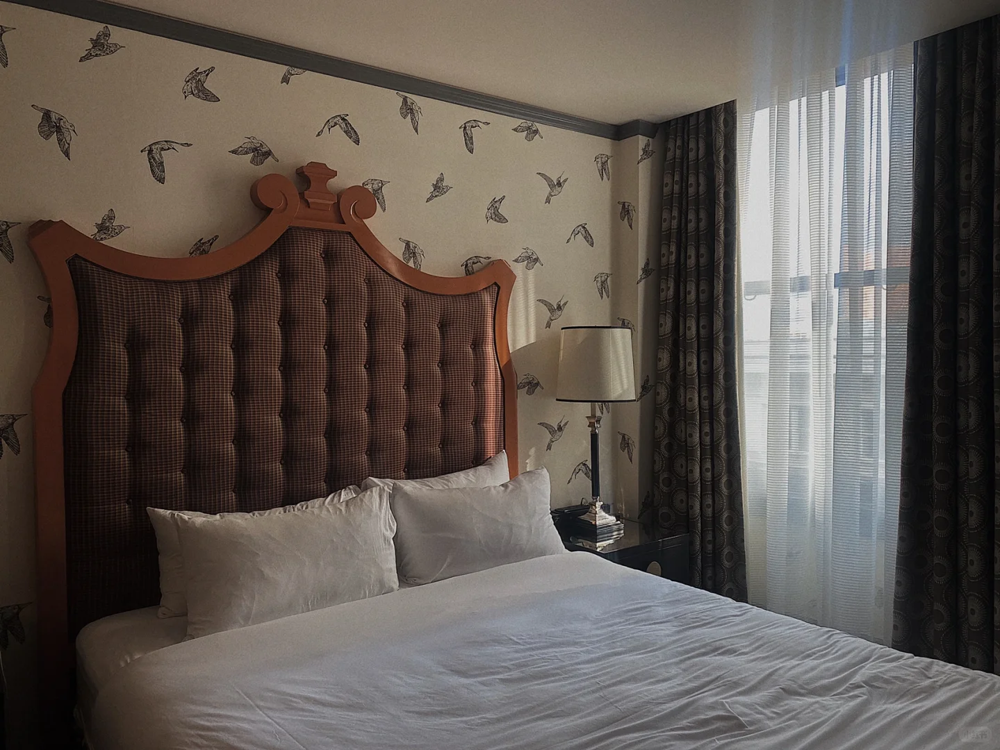 Hidden Gem Hotels in Downtown Portland with Great Value for Money 🤤