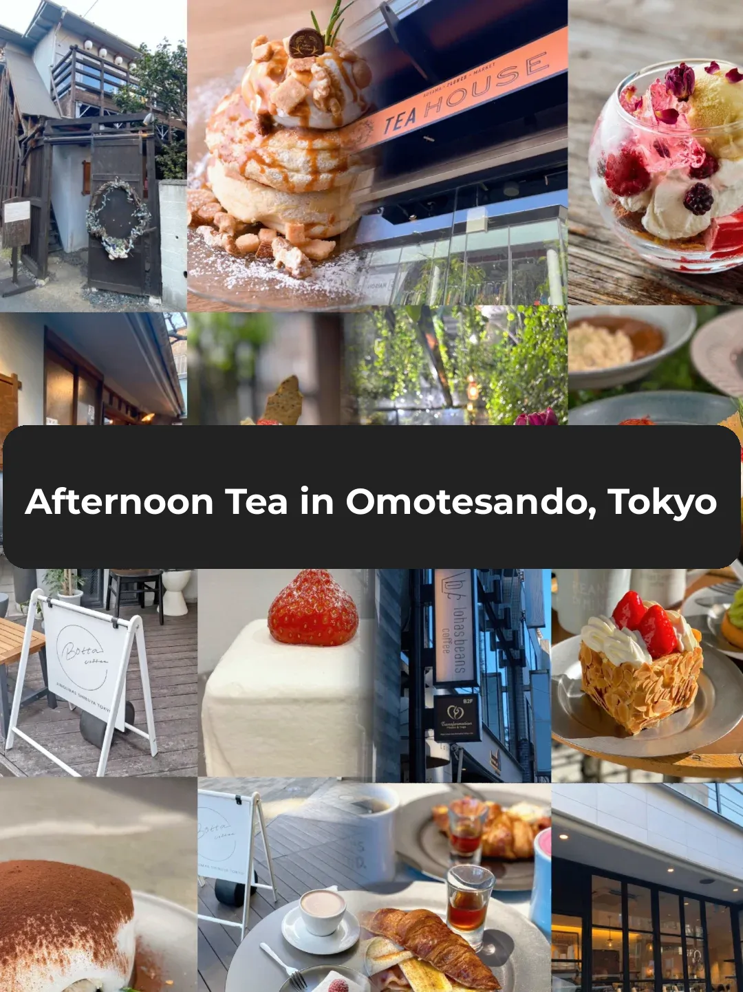 【Tokyo Omotesando Afternoon Tea Guide】4 Must-Visit Spots for Afternoon Tea!