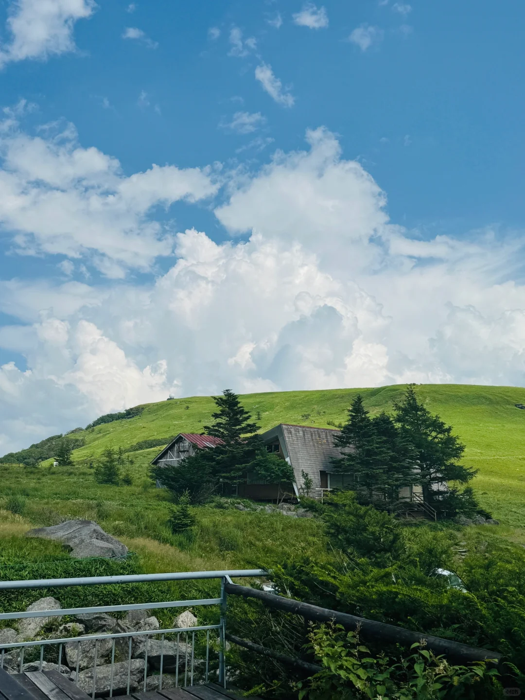 Megahara Plateau | Little Switzerland Near Tokyo - Day Trip Worthy 🤩 Every Frame is a Masterpiece