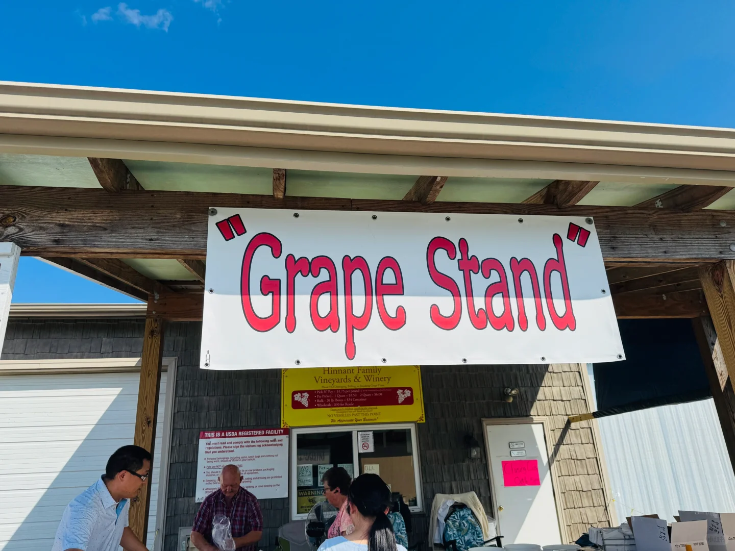 What to Do in North Carolina This Weekend: Muscadine Grape Picking 🍇