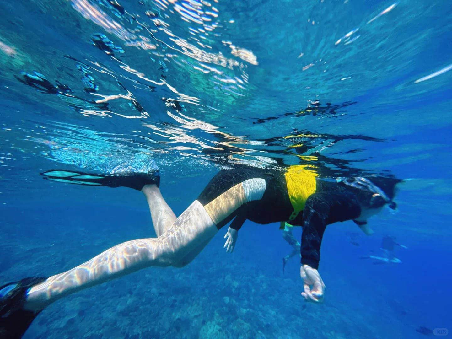 Hawaii December Beginner's Outdoor Activities Guide (with Prices & Duration)