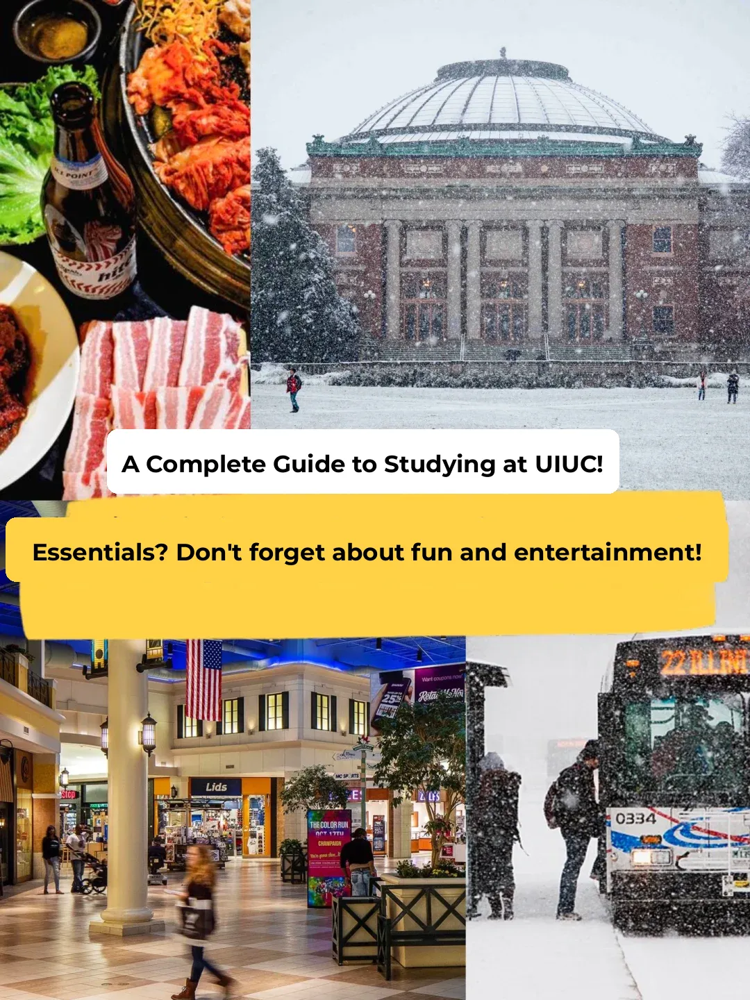 "Check Out This Guide to UIUC for a Sweet and Cozy Campus Life 😉"