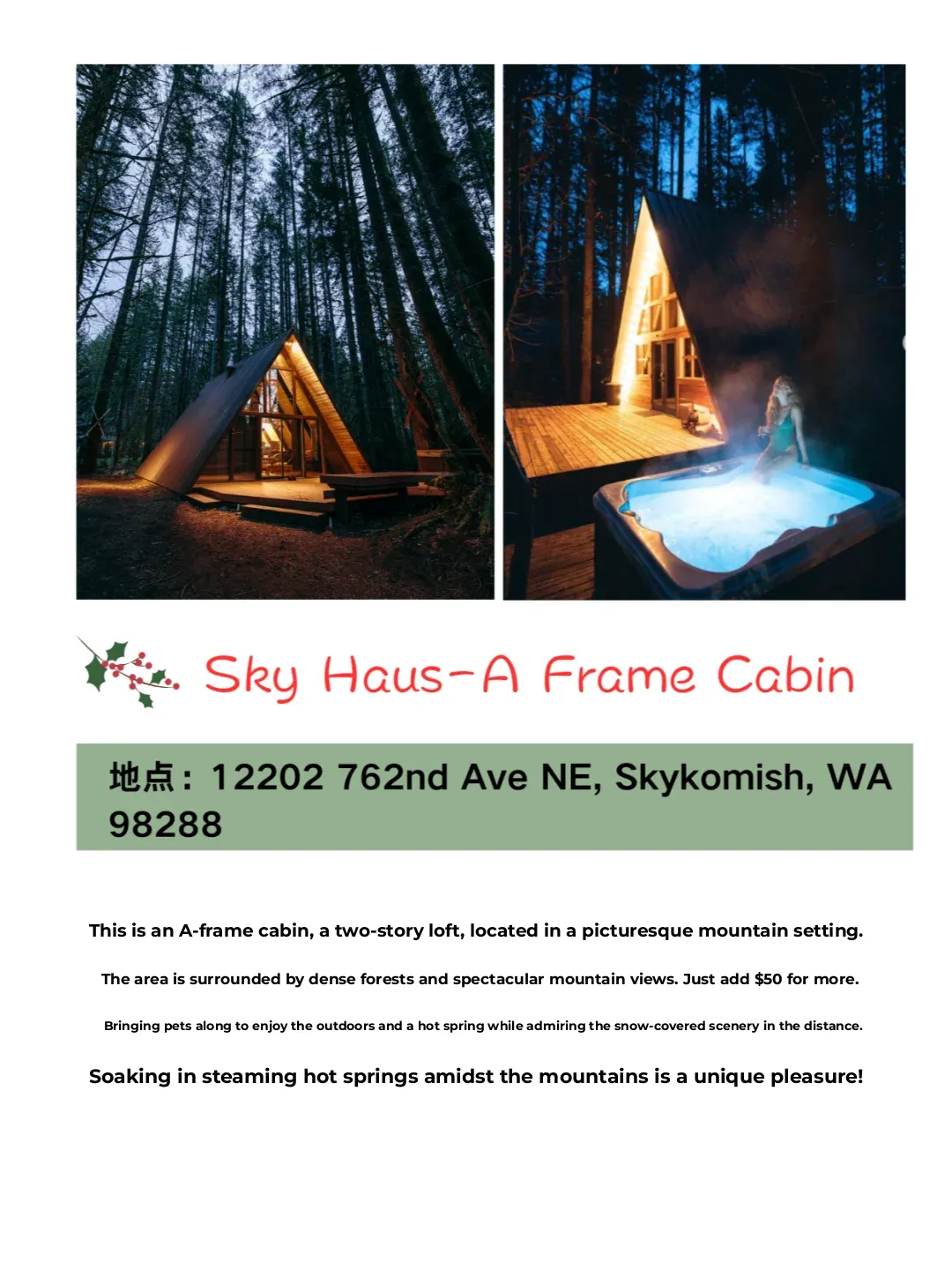 How to Enjoy Winter in Seattle? 🎄❄️