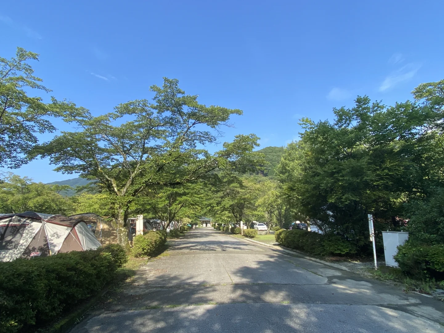 Camping Spots Near Tokyo