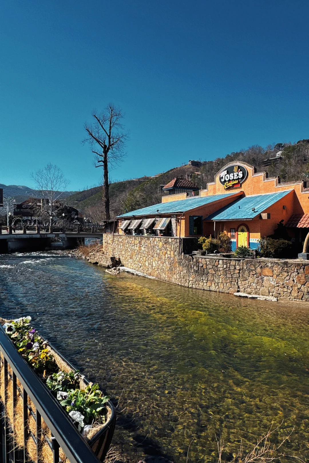 Great Smoky Mountains: Exploring Gatlinburg in the Heart of the Smokies
