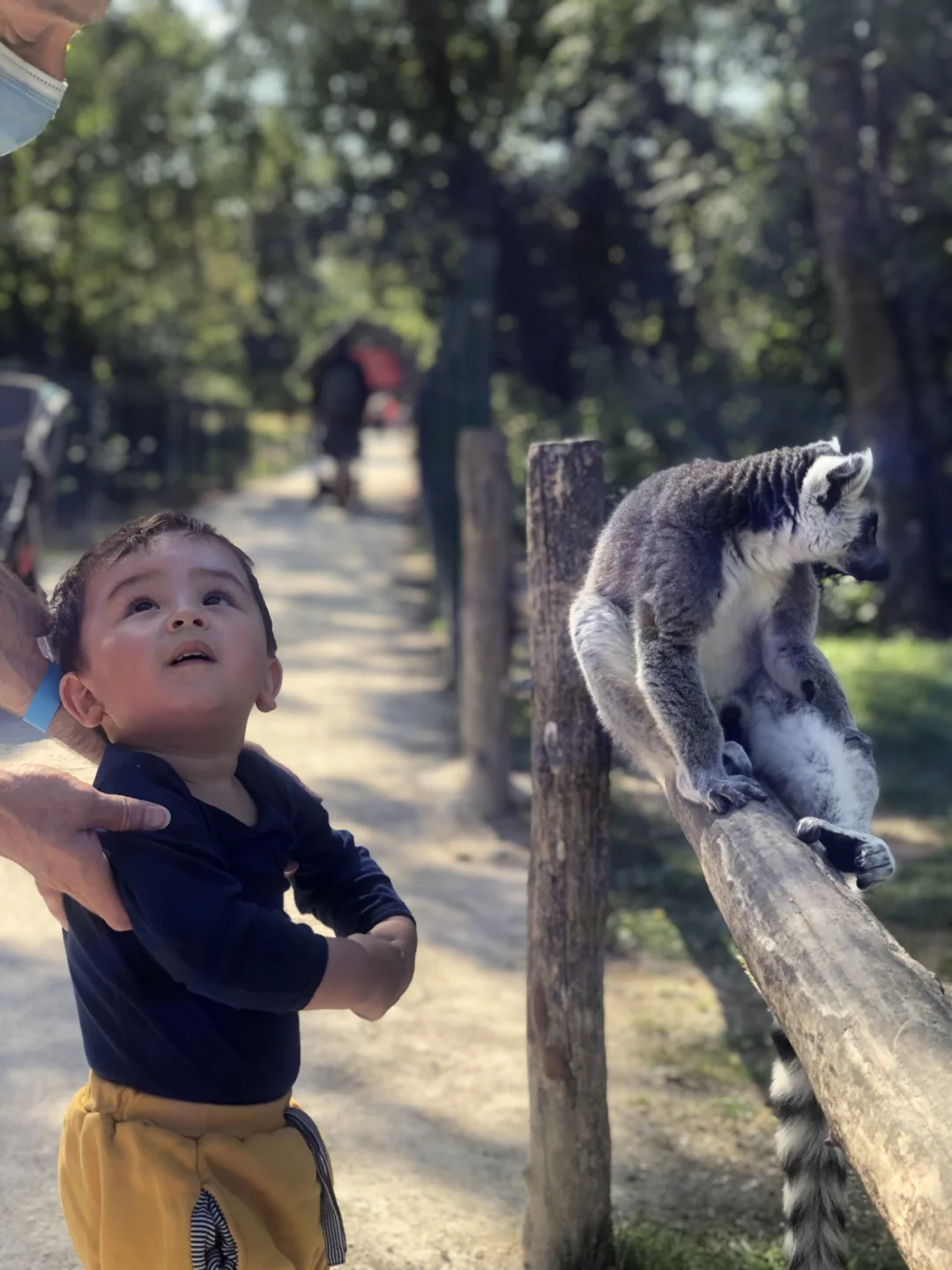 Weekend Family Fun: Discover This Awesome Off-the-Beaten-Path Zoo Near Paris