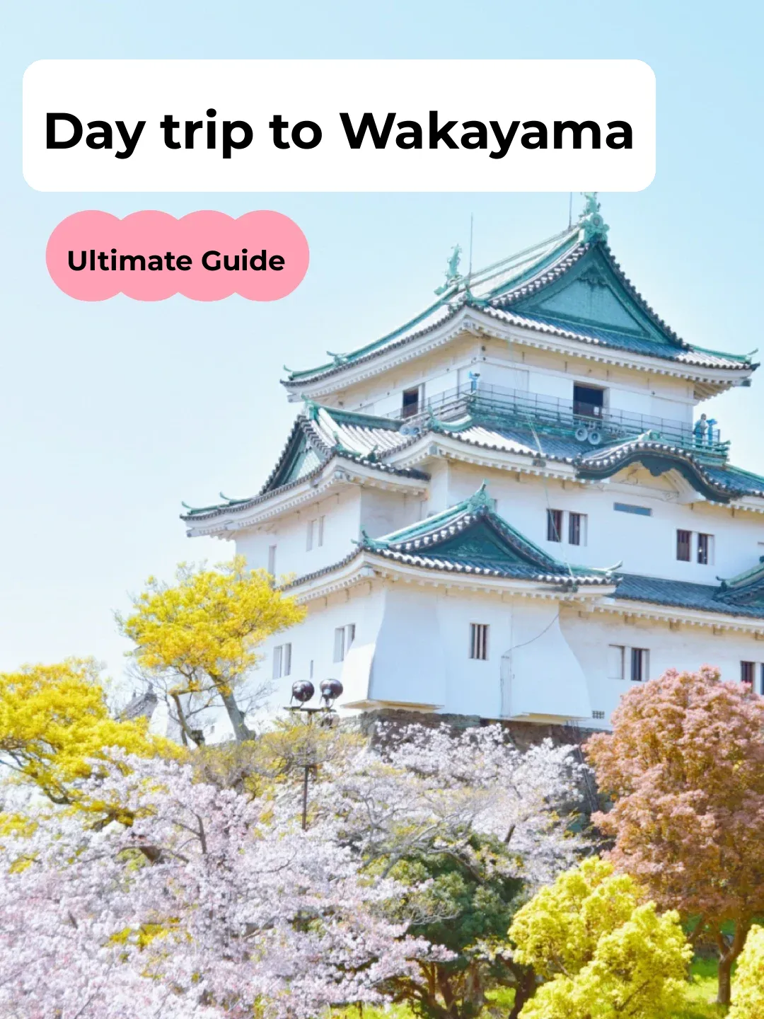 Wakayama ⛰️ 1-Day Trip | Ultra-Detailed Nanny-Level Wandering Guide ✅