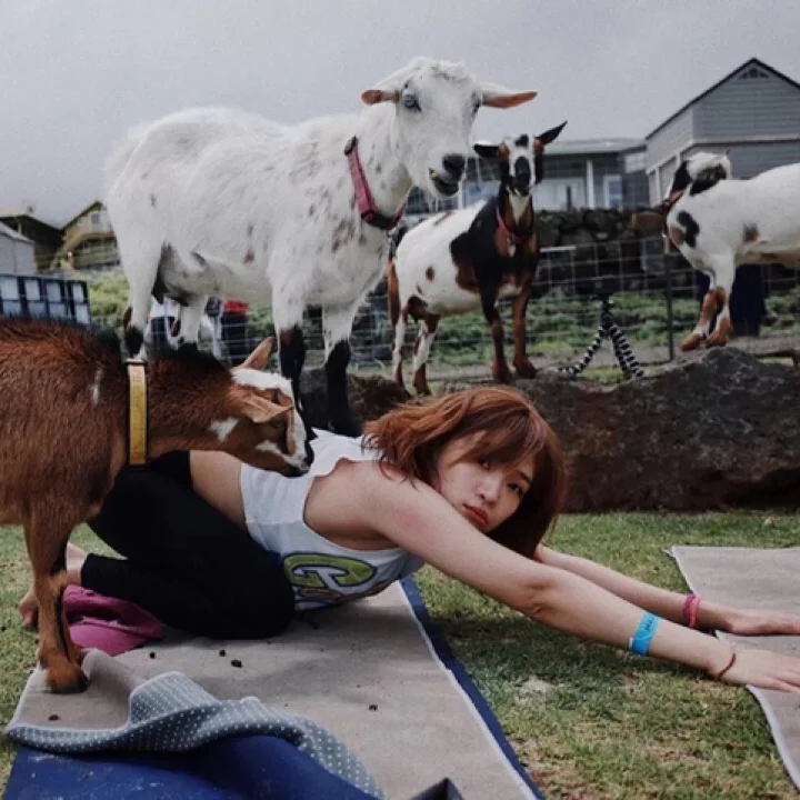 "Have You Ever Tried Yoga with Mini Goats?"