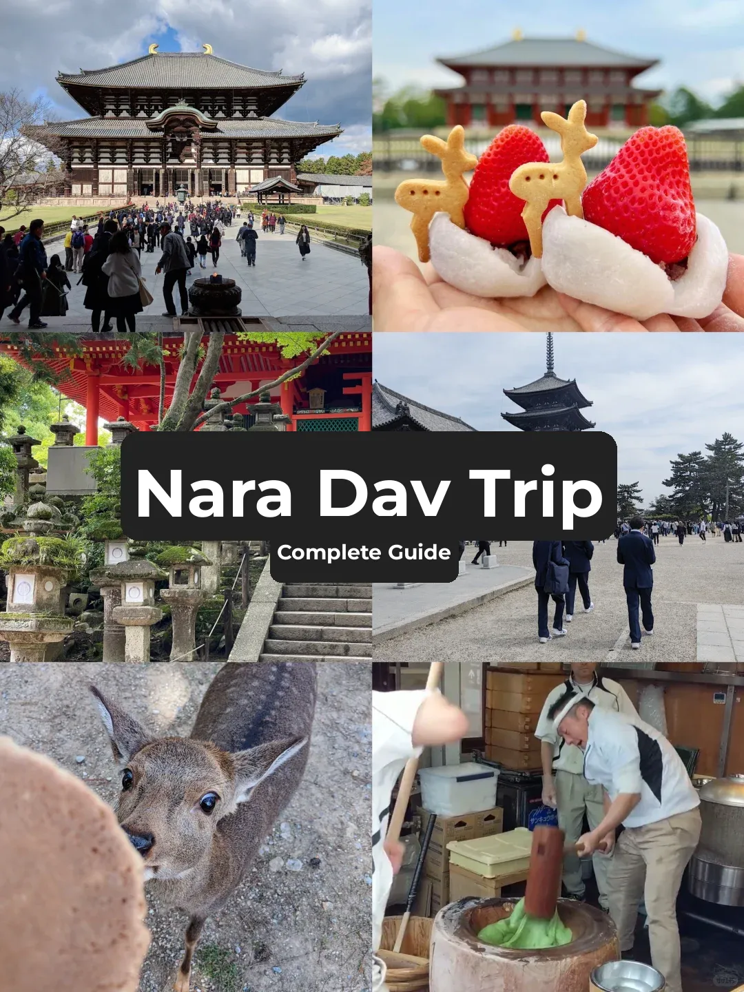 Nara Day Trip: The Ultimate Guide