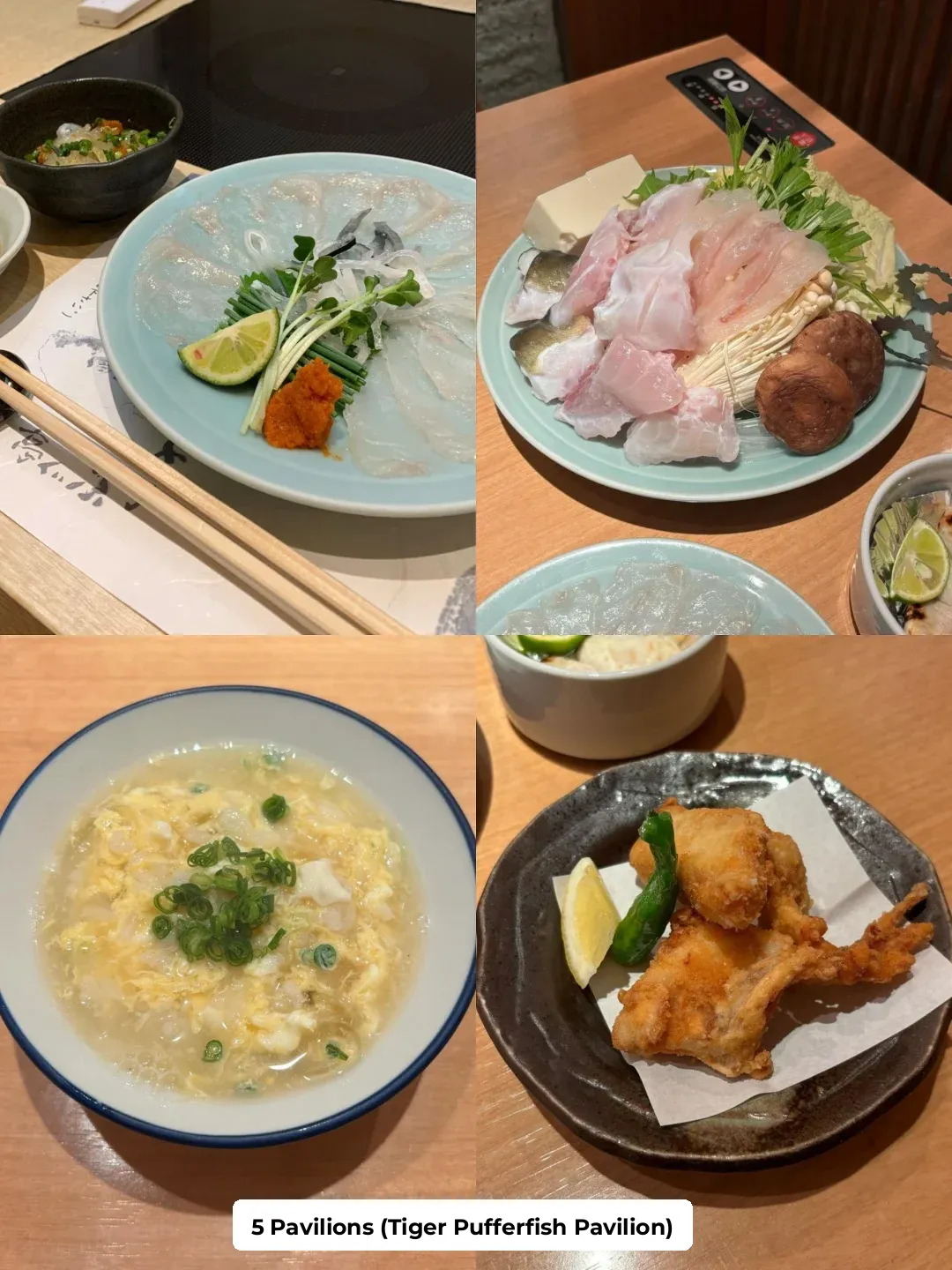 Eating My Way Through Tokyo 🍱 These Restaurants Are a Must-Try!!