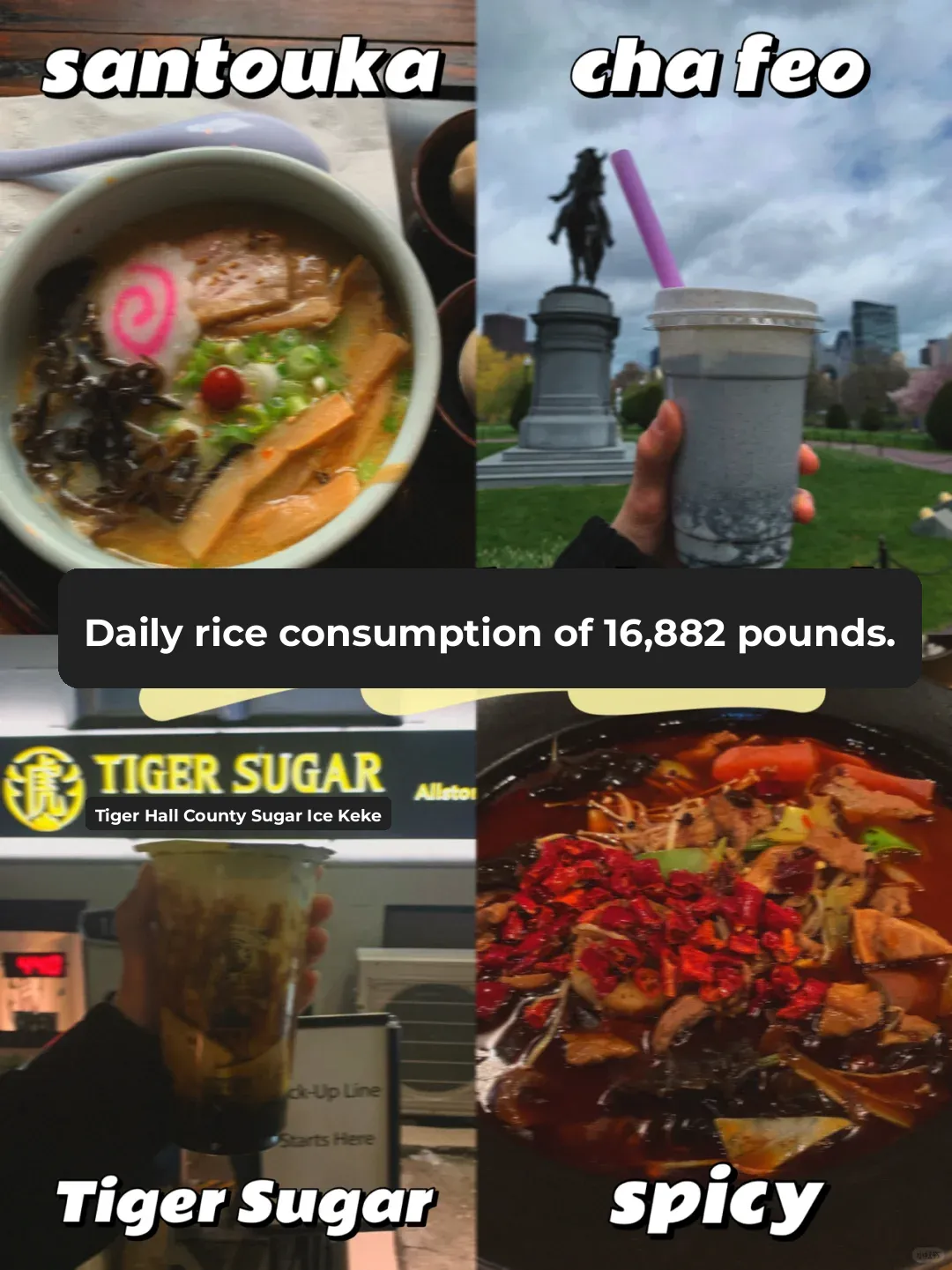 🦥 Spring Break Foodie Guide｜Takoyaki Balls 🐙 Mochi Milk Tea / Sichuan Cuisine