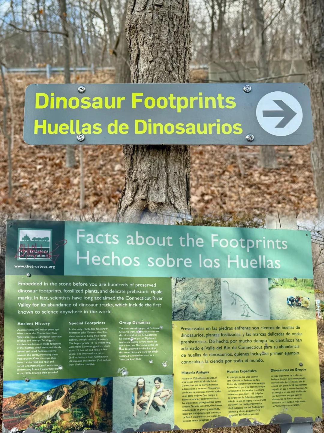 Boston with Kids: Exploring 200-Million-Year-Old Dinosaur Footprints—Full of Surprises!