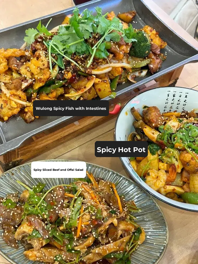 🇫🇷 Sichuan Cuisine in Paris | This Dry Pot Pork Intestines and Fish is Seriously Addictive 🌶️‼️