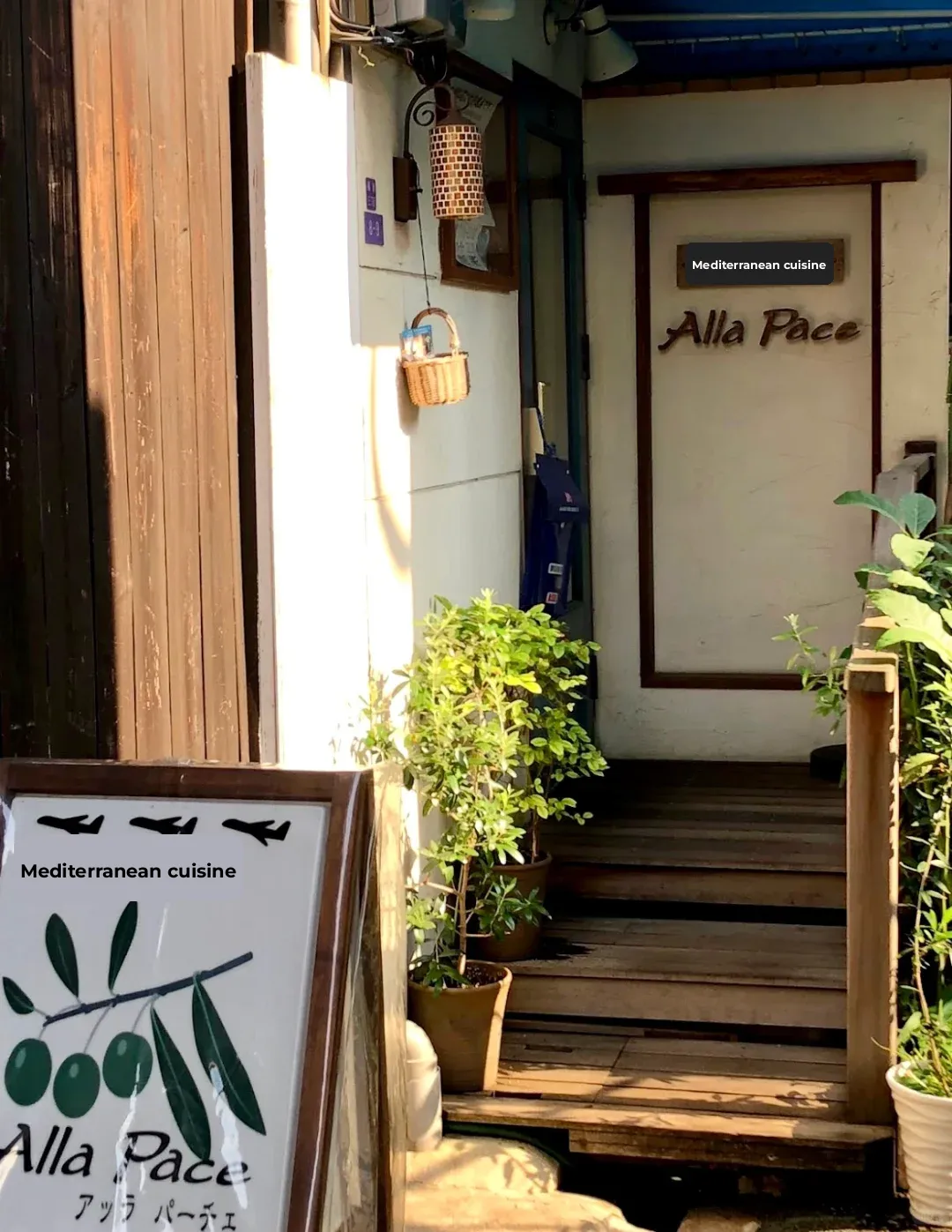 🇯🇵 Osaka's Only Greek Restaurant! 💖 Olives Grown In-House 🫒