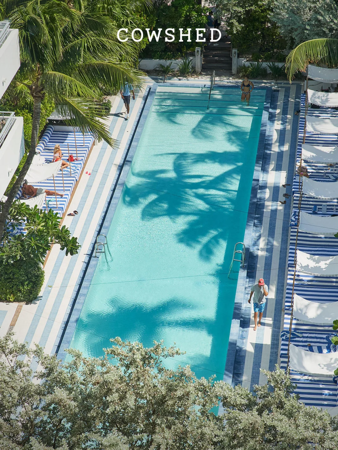 Cowshed Wanderings | Soho Beach House in Miami