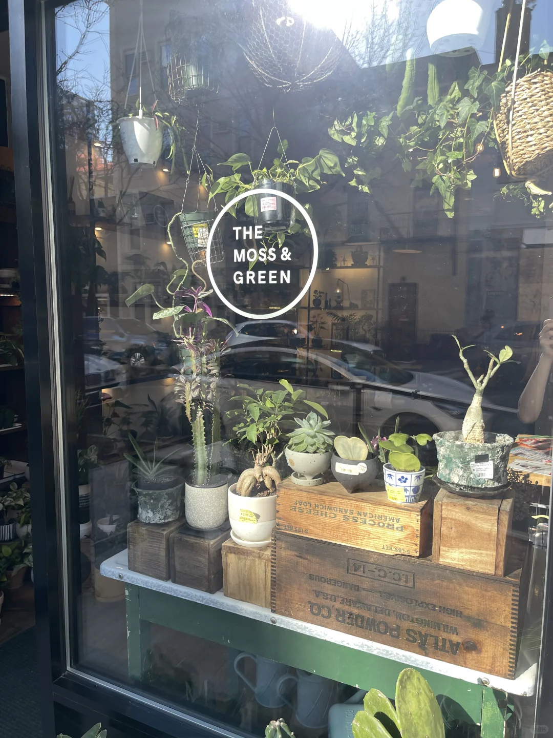 The Moss & Green: A Botanical Haven in New York