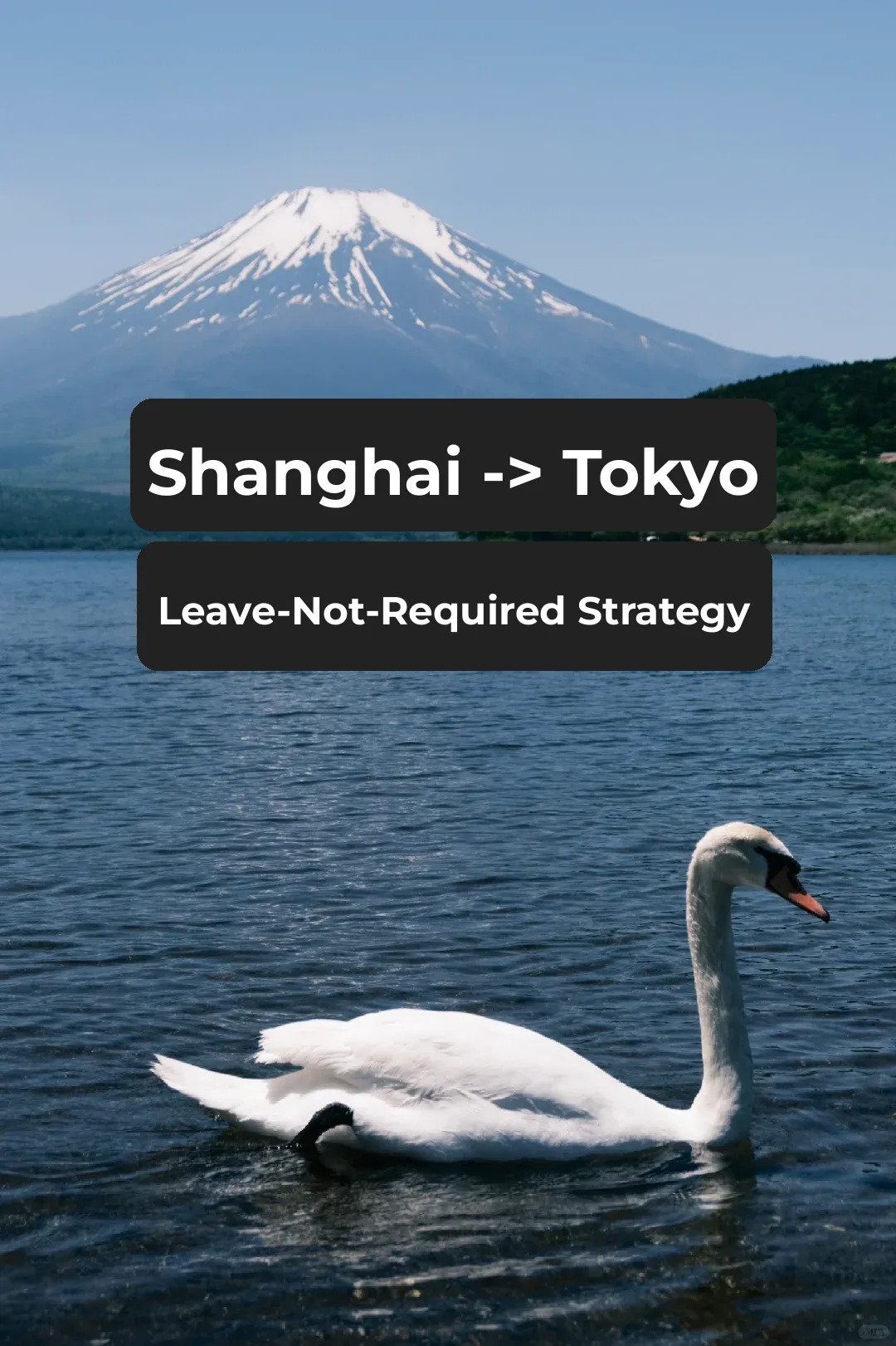 Travel Guide | A One-Click Itinerary for a Weekend Getaway from Shanghai to Tokyo