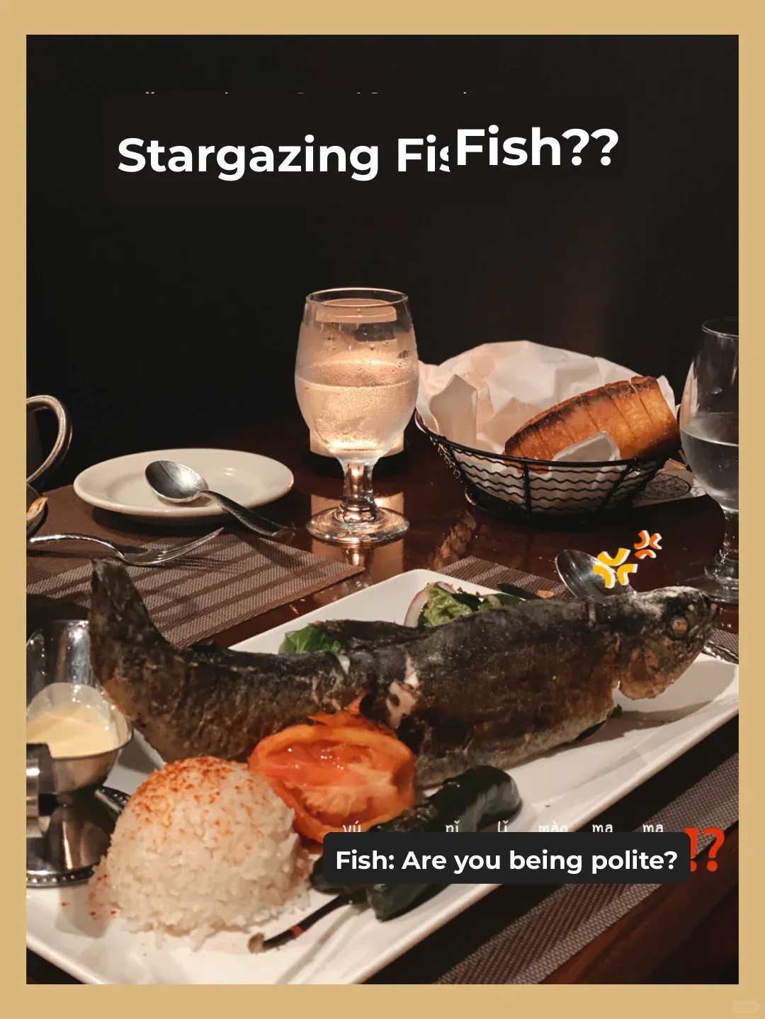 Seattle | Top 5 Turkish Eateries According to Locals