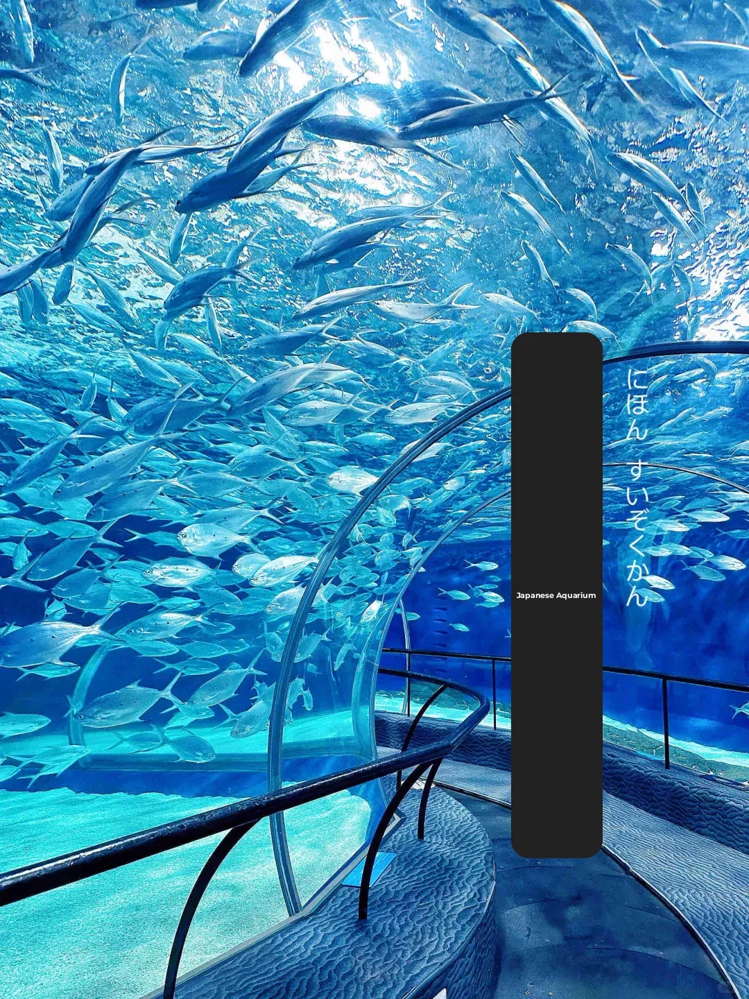 These Japanese Aquariums Are Already Next Level