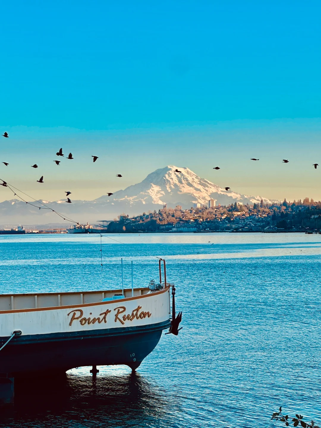 Despite our company's storms, nothing can stop Seattle's fleeting romance.