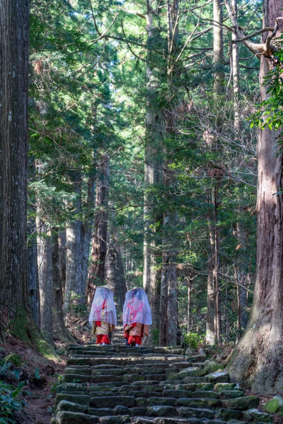 Bear-watching Hike in Kumano is a Breeze! E+P Personalities' Incredible Creativity