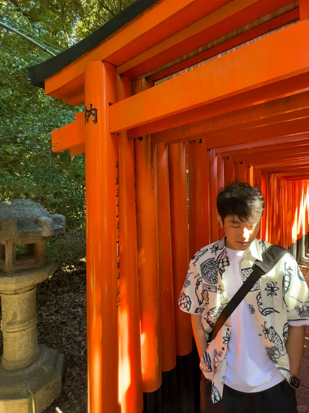 Kyoto Memories - Photos Overflowing!