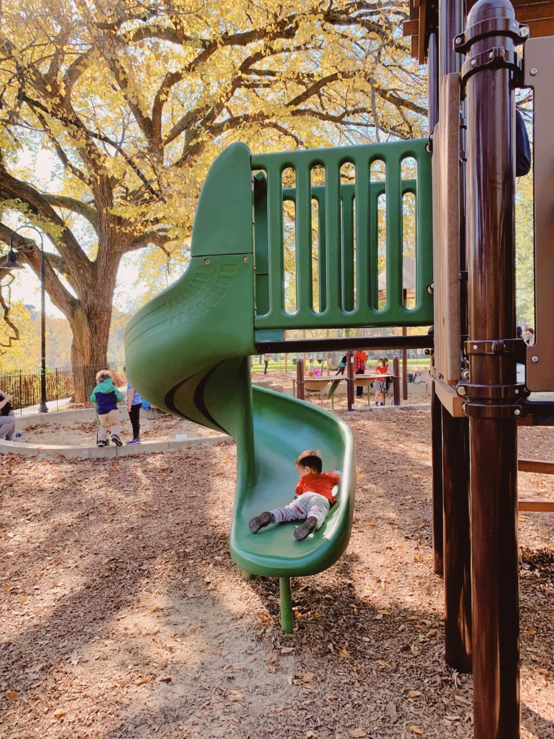 Washington DC Playground Review for Kids – Rose Park #1