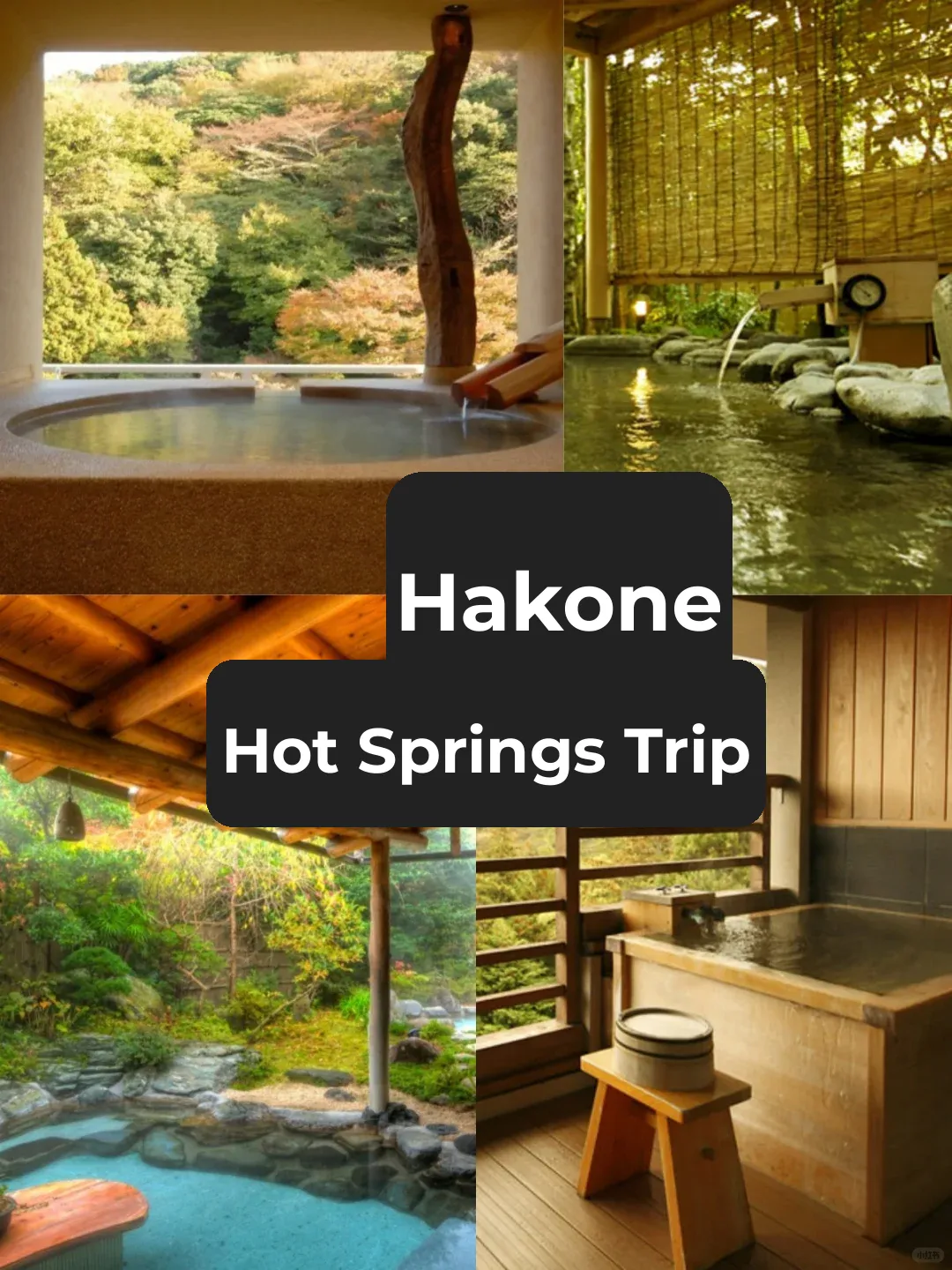 Hakone Hot Springs Paradise ♨️ | Top Affordable Onsen Hotels Recommended
