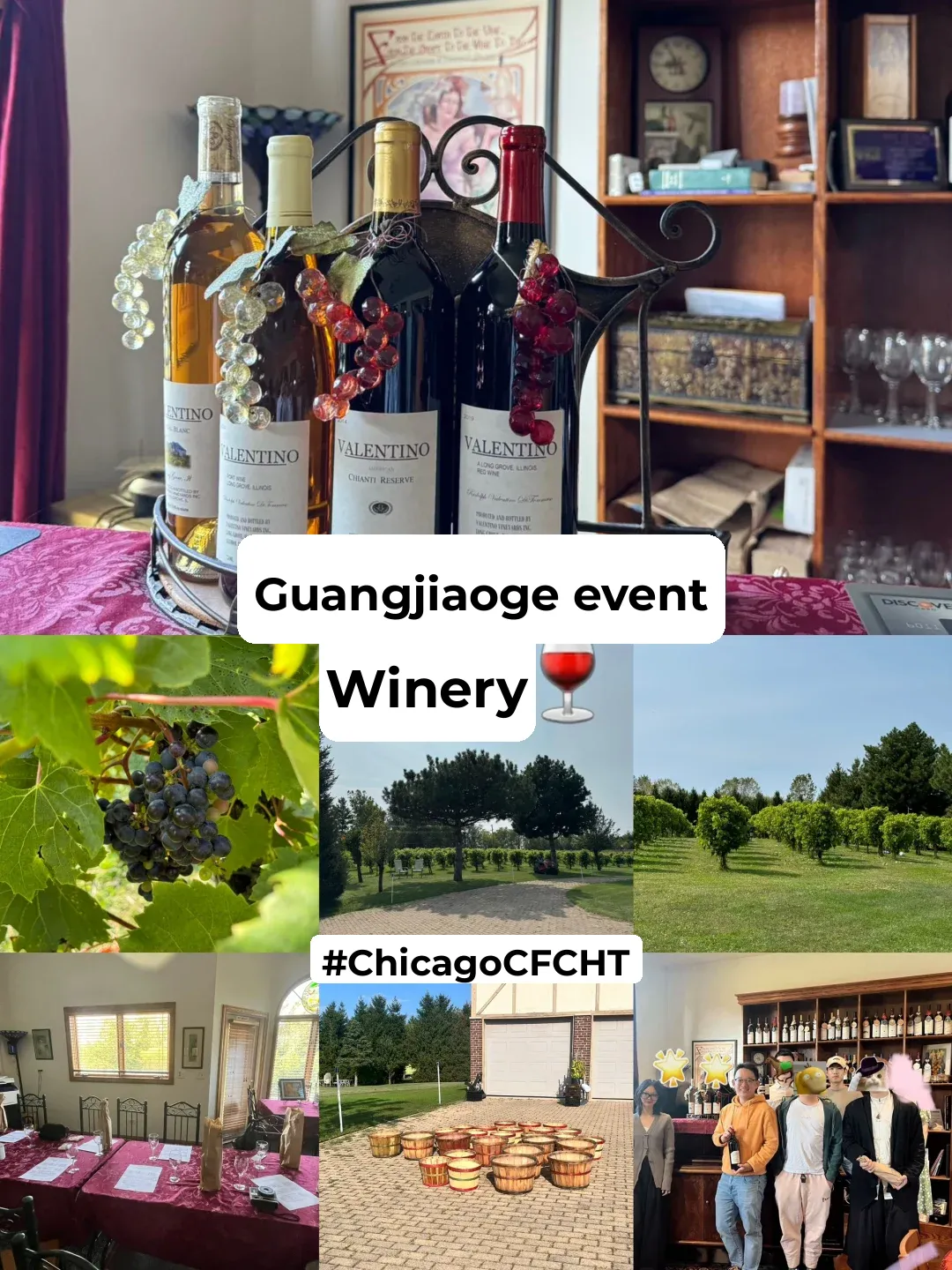 【Weekly】Chicago Events: Vineyard Adventures 🍷