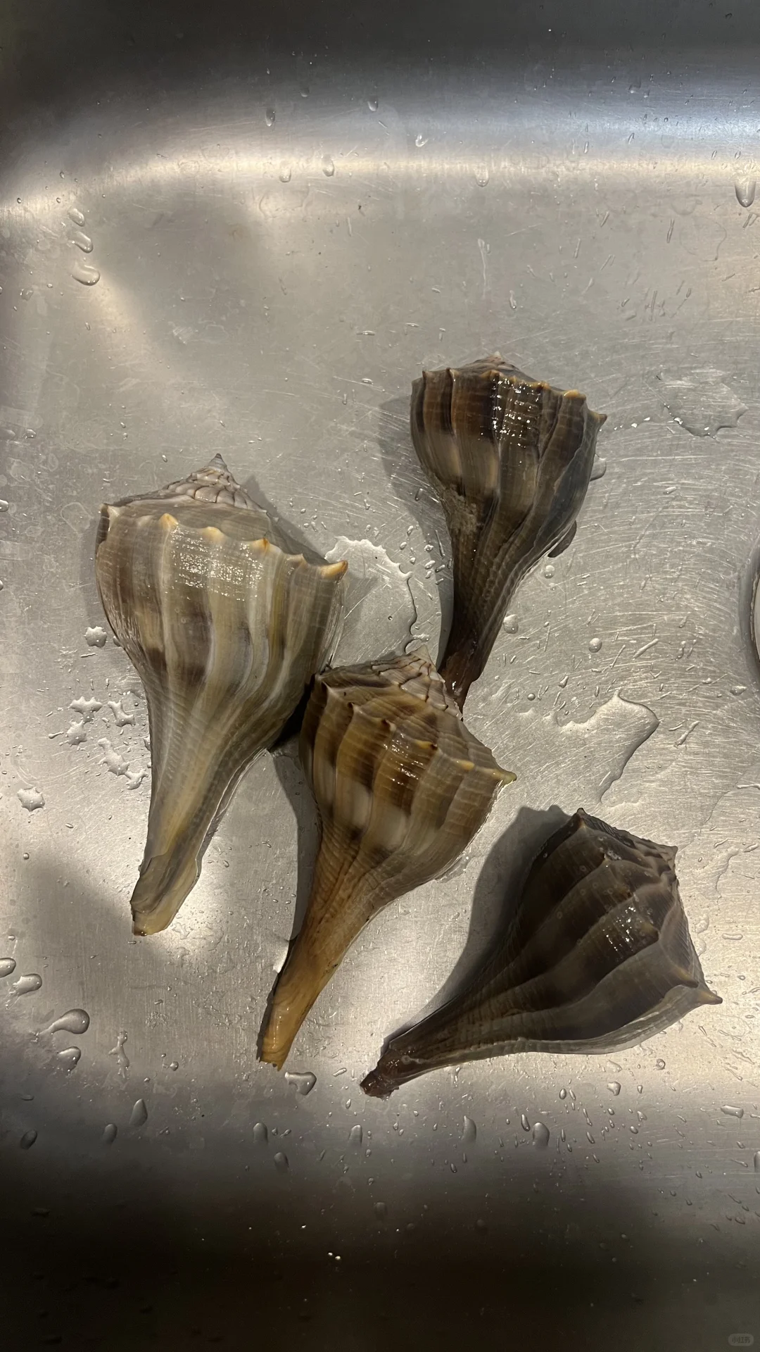 Tampa 6-Day Lazy Family Vacation Guide (Part 1)