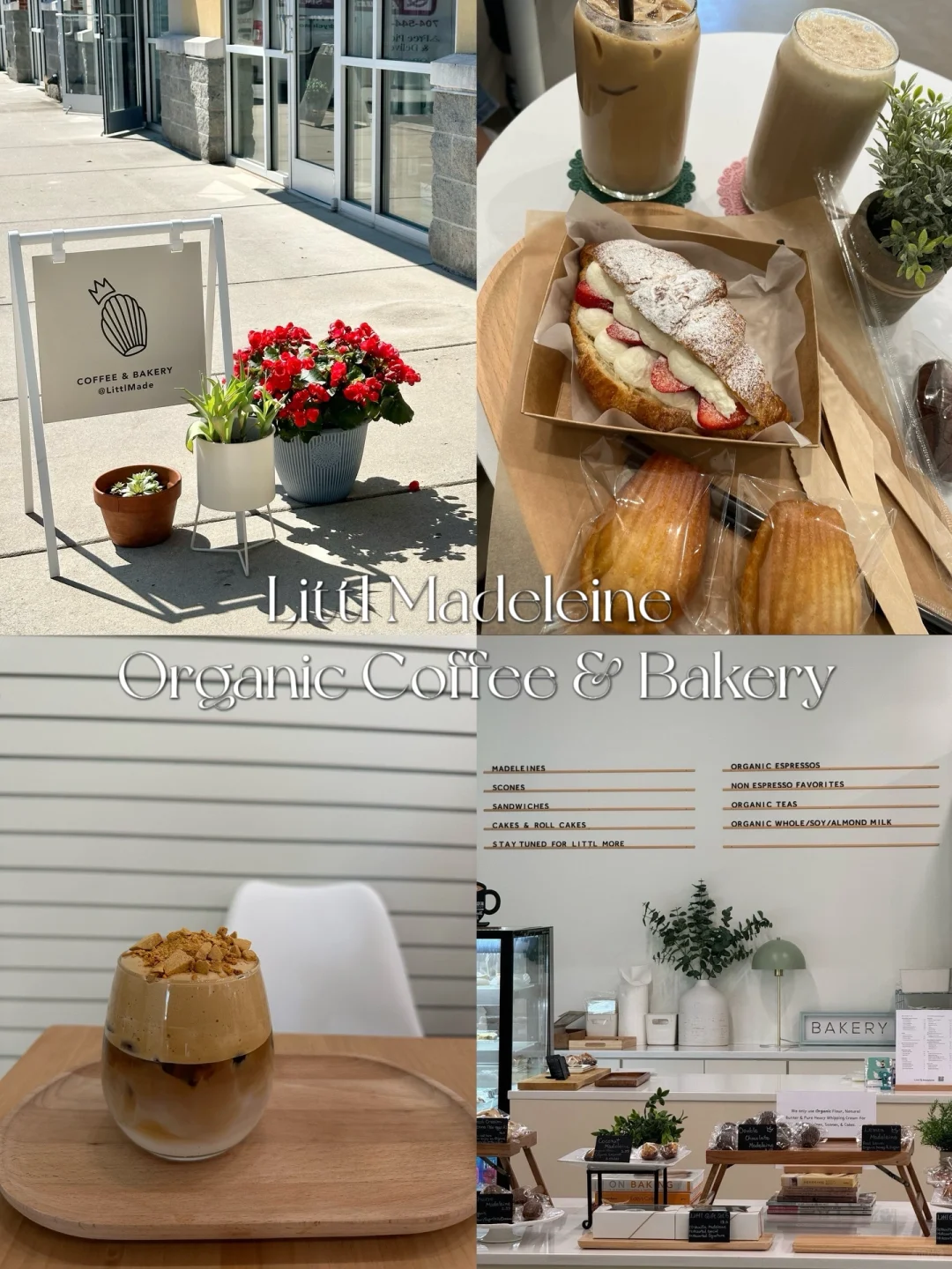 North Carolina Food Adventure｜Little Madeleine