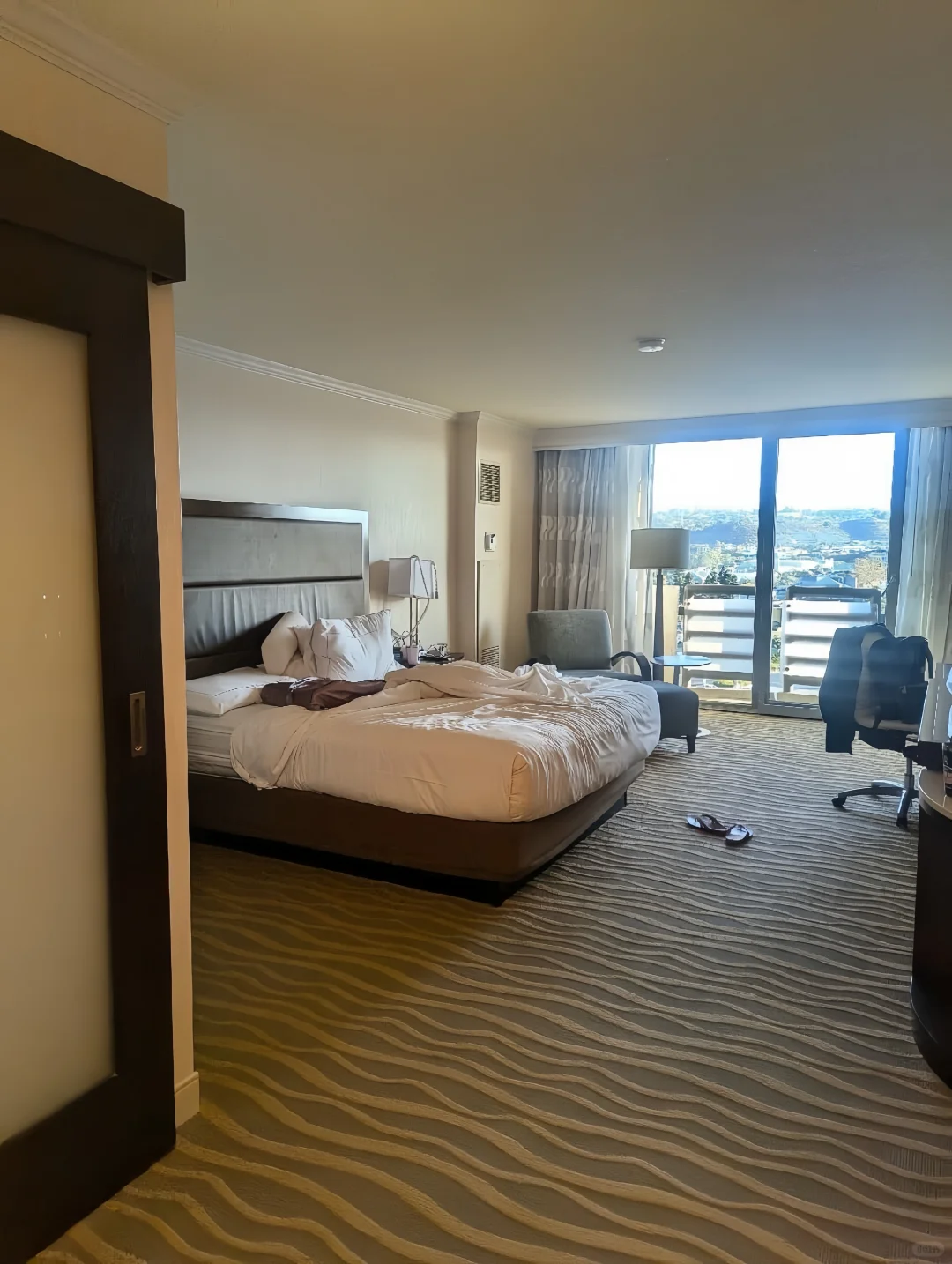 San Diego! A Low-Key but Comfy and Affordable Hotel 🥰
