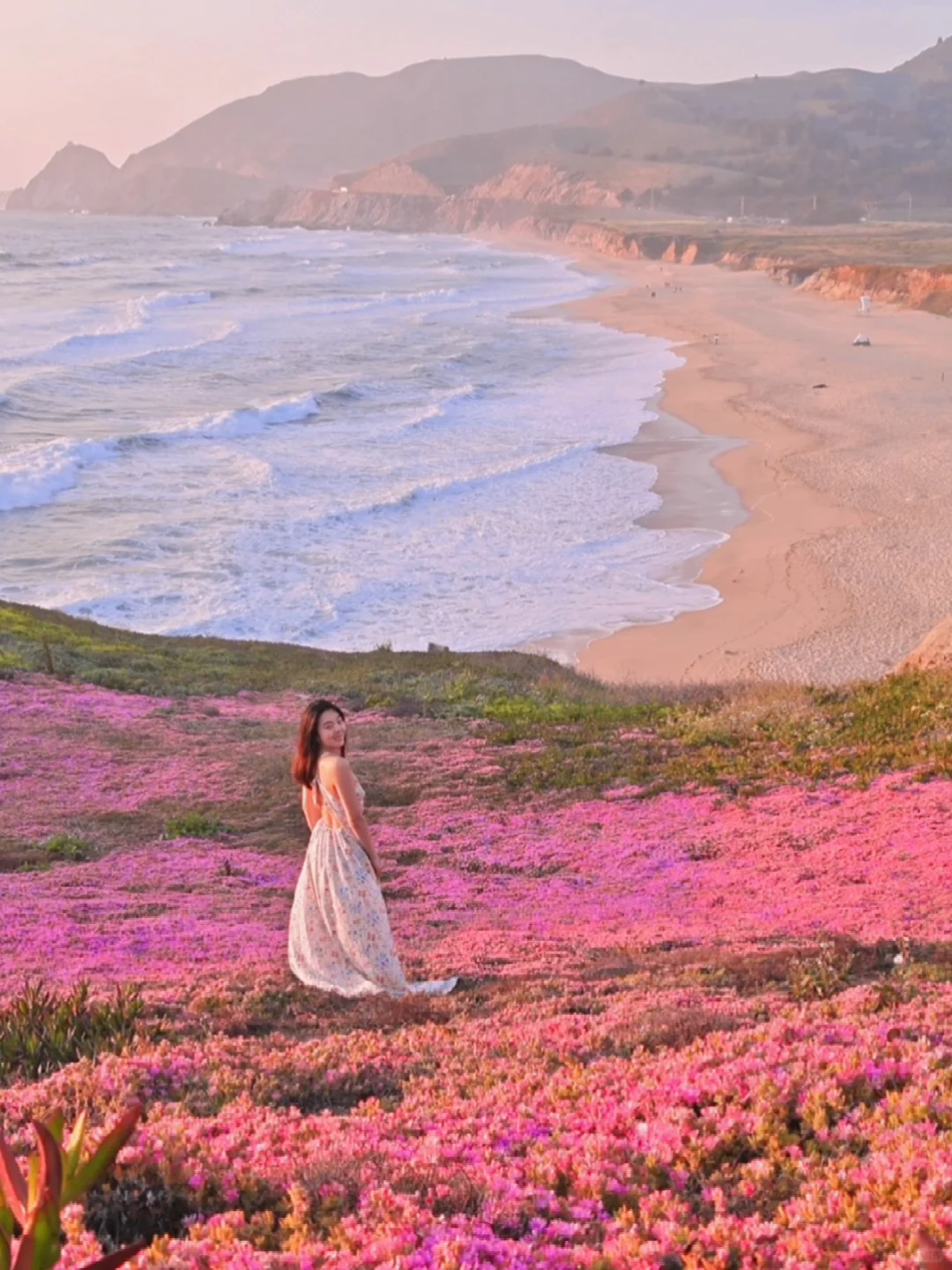Bay Area | Pink Blossoms in Full Bloom, a Must-See Beauty