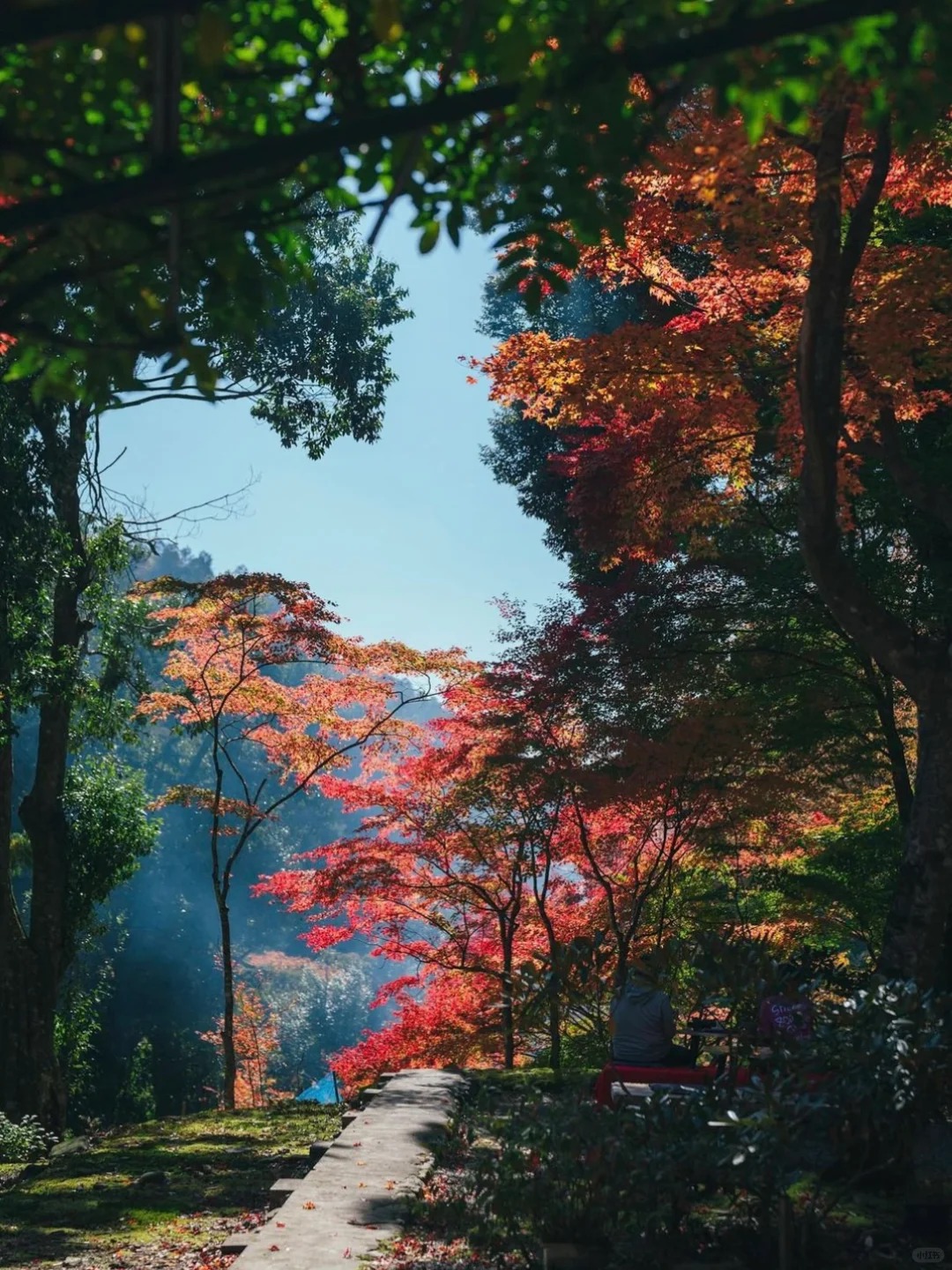 post_image