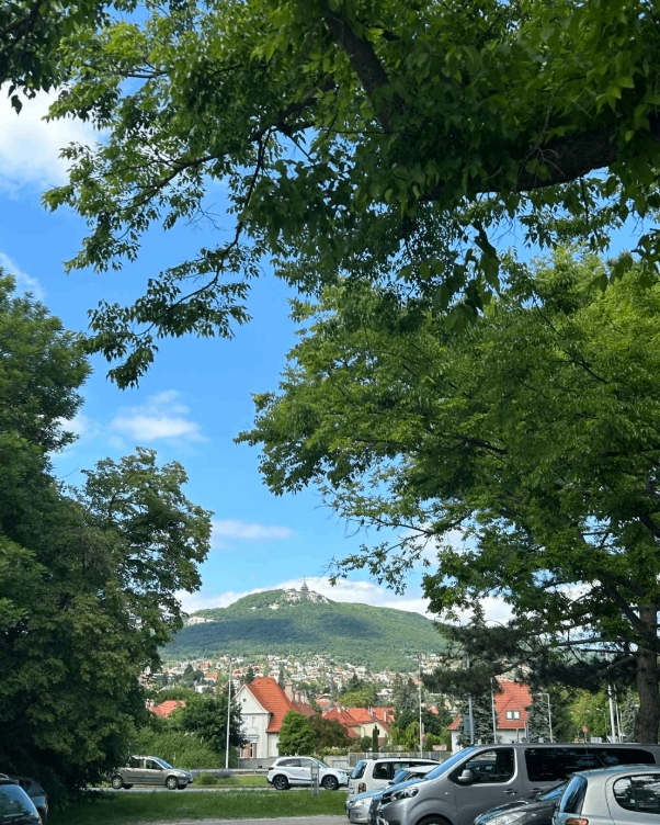 post_image