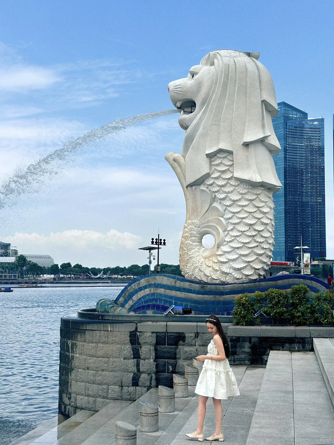 All You Need for Singapore in One Post! 🇸🇬🌟