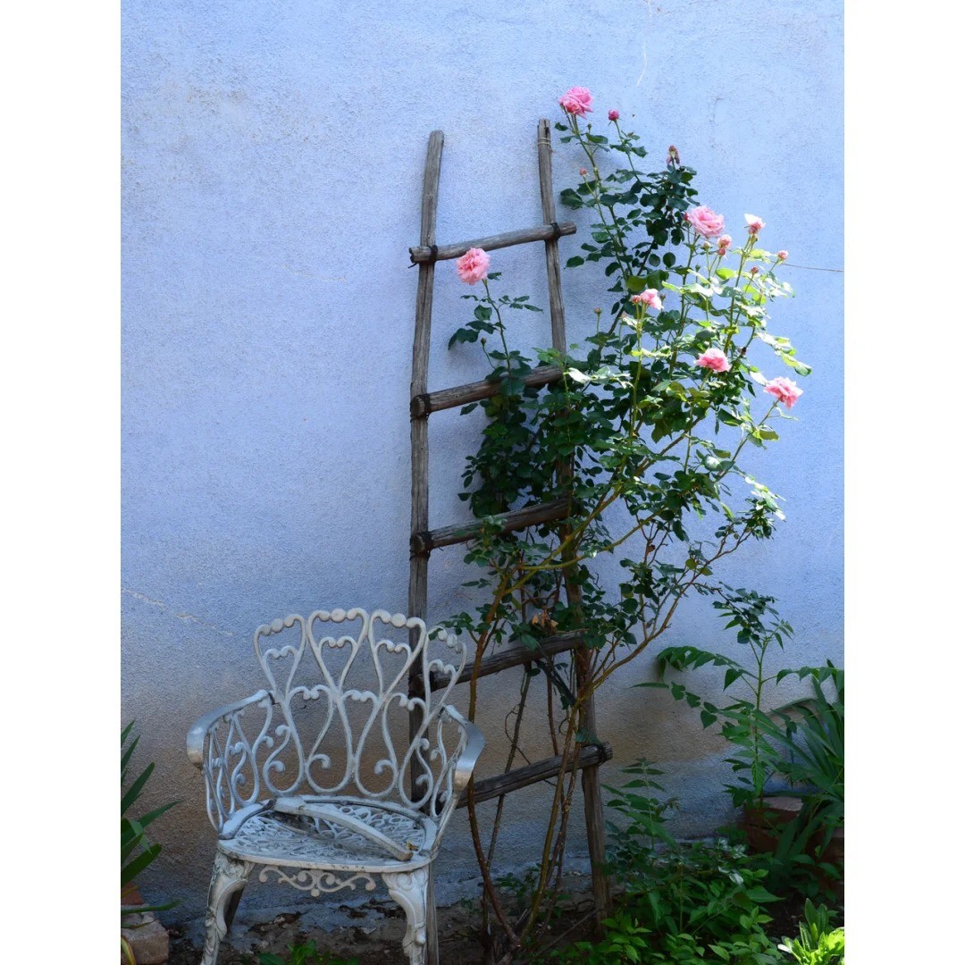 New Mexico Road Trip Journal 1️⃣ Breaking Bad Filming Locations 🎬