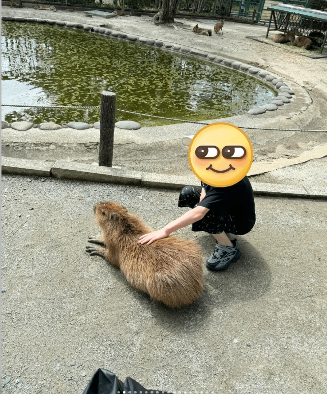 post_image