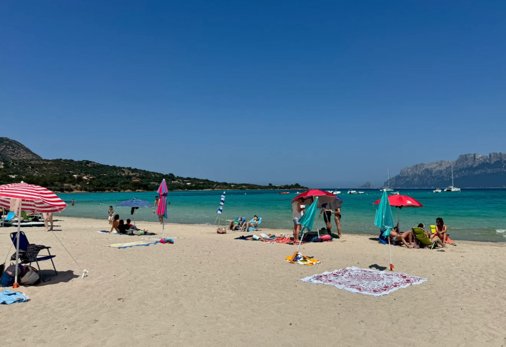 Sardinia’s “Jellyfish Sea” Did Not Disappoint!